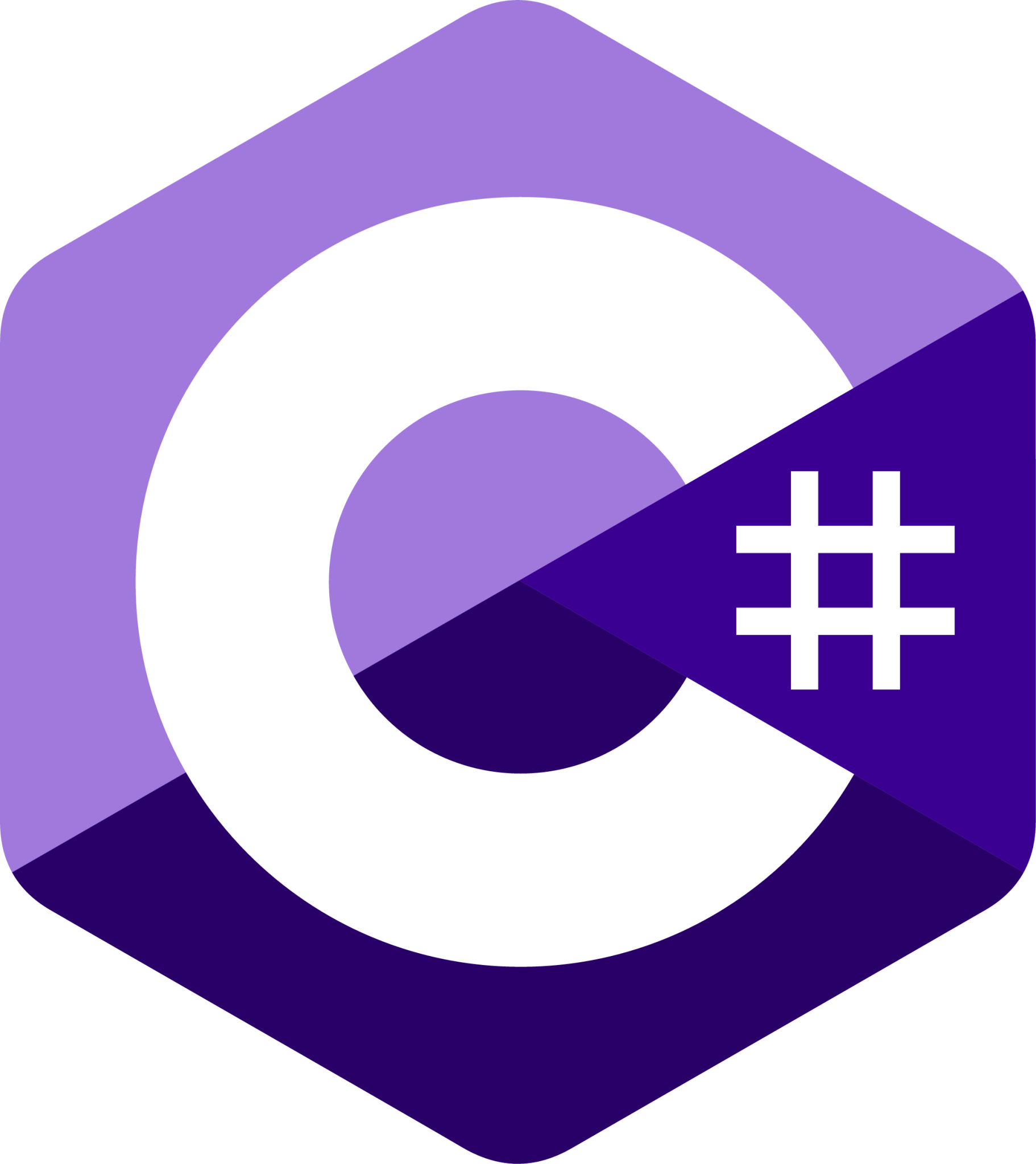 Icon C#